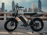 Jasion RetroVolt Pro 52V/20Ah 2000W Electric Bike