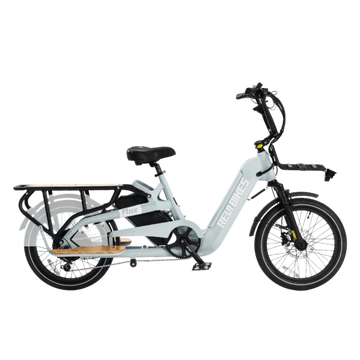 REVI Flux 48V 15Ah 750W Electric Bike Electric Ride Co