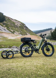 ENGWE E26 3.0 48V/20Ah 2000W Electric Bike