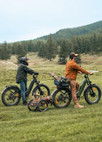 ENGWE E26 3.0 48V/20Ah 2000W Electric Bike