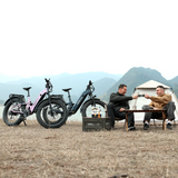 Hiboy EX11 48V/18Ah 880W Full Suspension Electric Bike