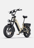 ENGWE L16 48V 18Ah/23Ah 1500W Electric Bike