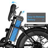 Hiboy EX6F 48V/14.5Ah 500W Electric Bike