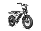Jasion RetroVolt Pro 52V/20Ah 2000W Electric Bike