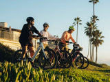 Heybike Venus 48V/14.2Ah 750W Electric Bike