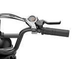 Jasion RetroVolt Pro 52V/20Ah 2000W Electric Bike