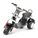 SoverSky T7.4 60V/40Ah 4000W Electric Swing Trike