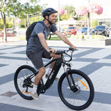 Hiboy P7 48V/14.5Ah 500W Commuter Electric Bike