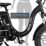 Hiboy EX6F 48V/14.5Ah 500W Electric Bike