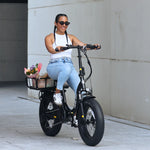 Hiboy EX6F 48V/14.5Ah 500W Electric Bike