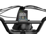 Jasion RetroVolt Pro 52V/20Ah 2000W Electric Bike