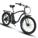 Coastal Cruiser Step Over 24x3 52V/17Ah 750W Electric Bike