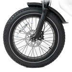HappyRun G70 48V/38Ah 2000W Electric Cargo Bike