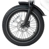 HappyRun G70 48V/38Ah 2000W Electric Cargo Bike