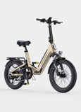 ENGWE L20 3.0 48V/15Ah 750W Electric Bike