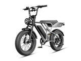 Jasion RetroVolt Pro 52V/20Ah 2000W Electric Bike