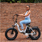 Hiboy EX6F 48V/14.5Ah 500W Electric Bike
