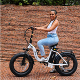 Hiboy EX6F 48V/14.5Ah 500W Electric Bike