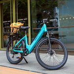 Hiboy EX9 48V/11.6Ah 1000W Electric Bike