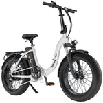 Hiboy EX6F 48V/14.5Ah 500W Electric Bike