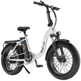 Hiboy EX6F 48V/14.5Ah 500W Electric Bike