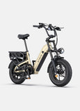 ENGWE L16 48V 18Ah/23Ah 1500W Electric Bike