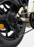 ENGWE L16 48V 18Ah/23Ah 1500W Electric Bike