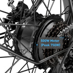 Hiboy EX6F 48V/14.5Ah 500W Electric Bike