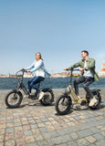 ENGWE L20 3.0 48V/15Ah 750W Electric Bike