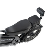 HappyRun G70 48V/38Ah 2000W Electric Cargo Bike