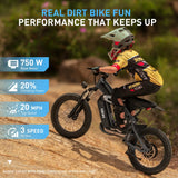 Hiboy DM14 48V/9Ah 750W Electric Dirt Bike
