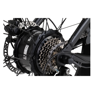 REVI Cheetah Plus 48V/17.5Ah 750W Electric Bike  Electric Ride Co.