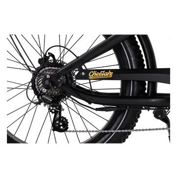 REVI Cheetah Plus 48V/17.5Ah 750W Electric Bike – Electric Ride Co