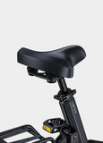 ENGWE L20 3.0 48V/15Ah 750W Electric Bike