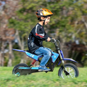 Hiboy DK1 36V 4Ah 300W Electric Dirt Bike For Kids Electric Ride Co