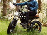 Freego Flash F3 Pro Max 48V/55Ah 1000W Electric Bike