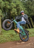 ENGWE EP-2 3.0 48V/15Ah 1500W Electric Bike