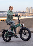 ENGWE EP-2 3.0 48V/15Ah 1500W Electric Bike