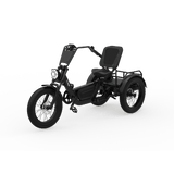 Freego FlekTrike Pro 48V/60Ah 1400W All-Terrain Electric Trike