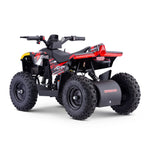 Droyd Fury 36V/500W Kids Electric ATV