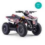 Droyd Fury 36V/500W Kids Electric ATV