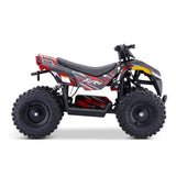 Droyd Fury 36V/500W Kids Electric ATV