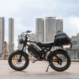 HappyRun G70 48V/26Ah 750W Electric Cargo Bike