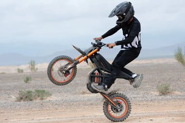 RIDE FUSExLTCコラボモデル 27cm Riding Times GT54 48V/27Ah 2000W Electric Mini Dirt Bike