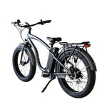 Coastal Cruiser Step Over 24x3 52V/17Ah 750W Electric Bike