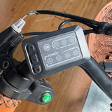 NAKTO Classic 48V/8Ah 500W Electric Bike