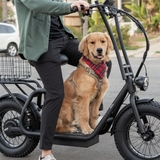 Hiboy U2 Pro 48V/13Ah 750W Electric Scooter