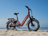 Heybike Ranger 3.0 Pro 48V/15Ah 1400W Electric Bike