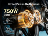 Heybike Titan 48V 15Ah/13Ah 1500W Electric Bike