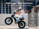 Heybike Titan 48V 15Ah/13Ah 1500W Electric Bike